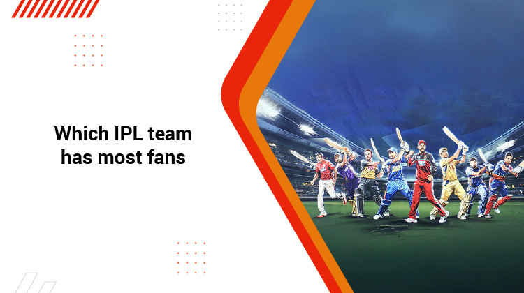 Which IPL team has most fans