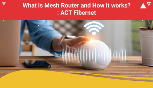 What is Mesh Router